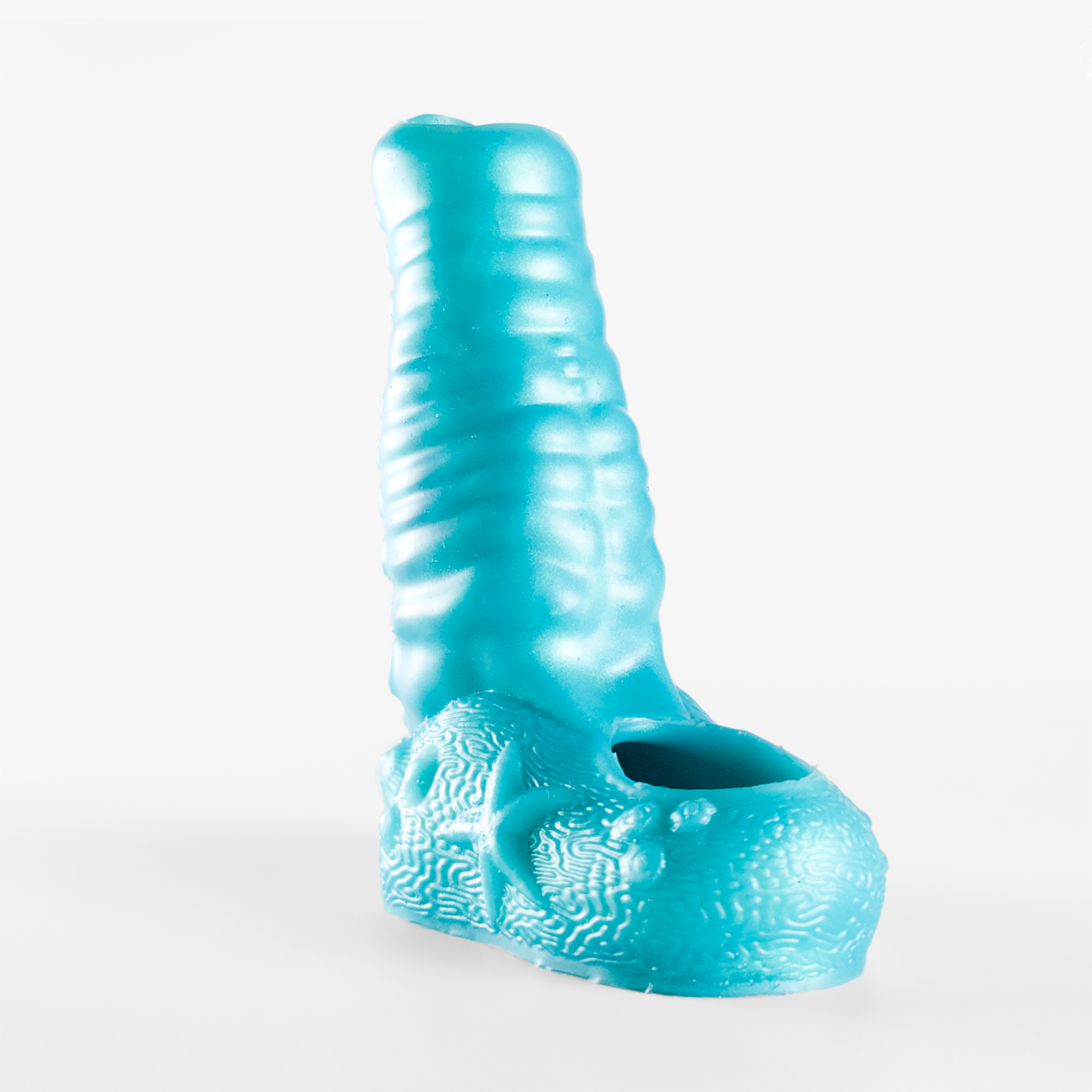 The tentacle sheath side angle.