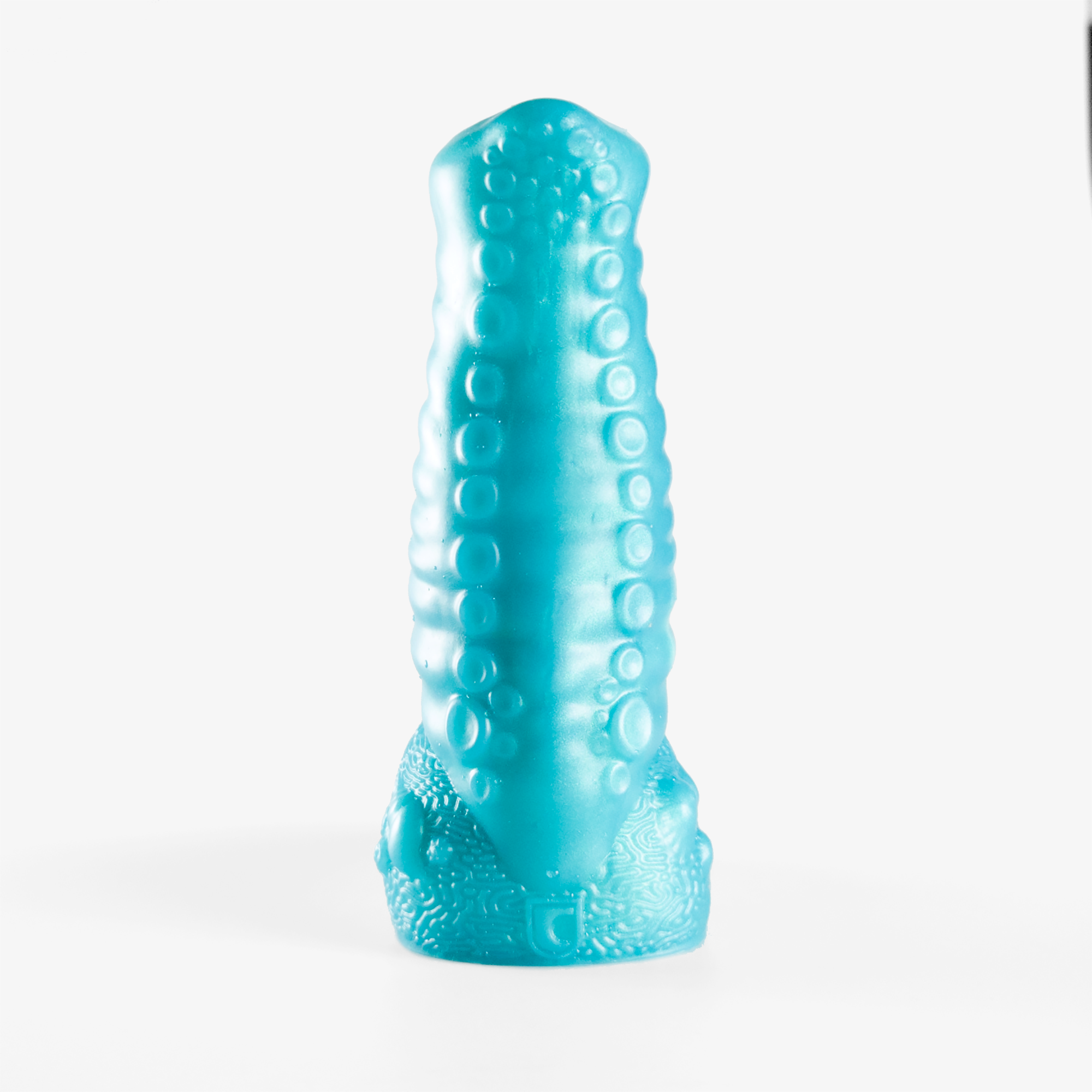 The tentacle sheath front.