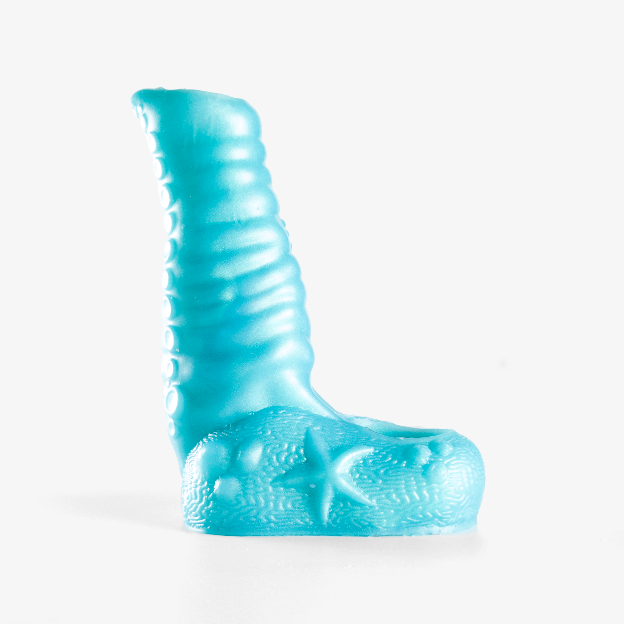 The tentacle sheath side.